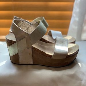 Pierre Dumas wedges